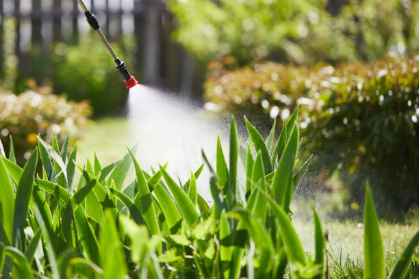 24/7 Emergency Mosquito Control experts in Fallon, NV