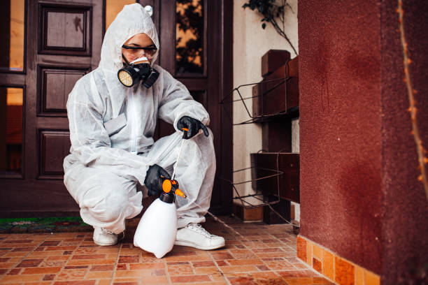 Reliable Mosquito Control contractor in Fallon, NV by Nex Pest Control